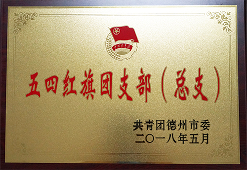 云开体育,云开（中国）一站式服务平台
荣获“德州市五四红旗团支部”荣誉称号
